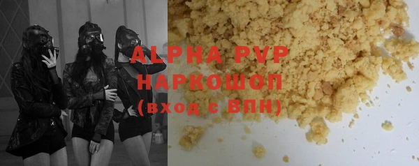 гашик Алексин