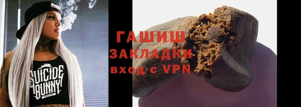 гашик Алексин
