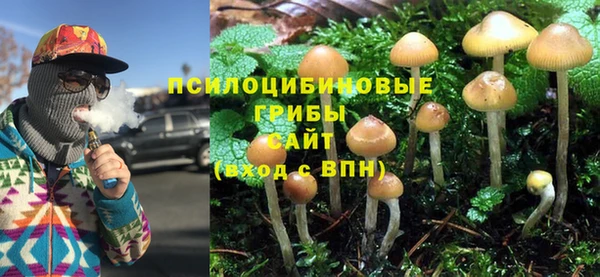 шишки Алзамай