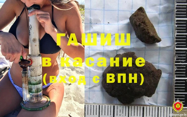 гашик Алексин