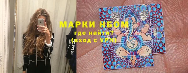 шишки Алзамай