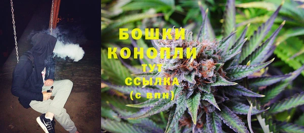 шишки Алзамай