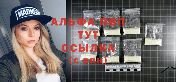 винт Абаза