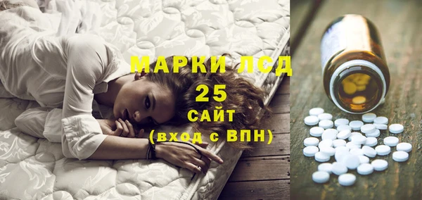 гашик Алексин
