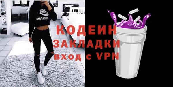 гашик Алексин