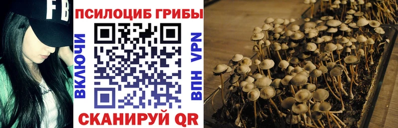 Псилоцибиновые грибы MAGIC MUSHROOMS  купить закладку  Нижняя Салда 